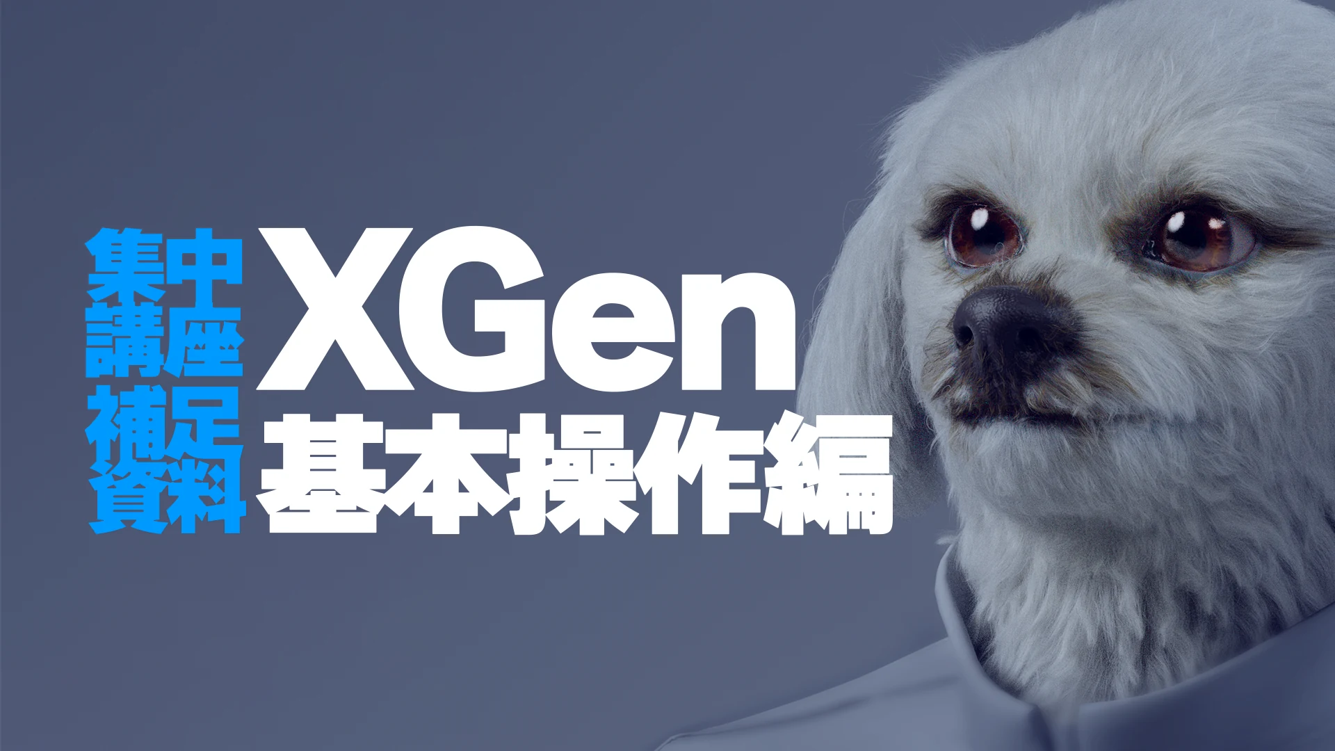 XGen基本操作編